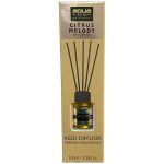 Aqua - Αρωματικό Χώρου Citrus Melody Home Reed Diffuser με 6 Στικς Aqua 100 ml - 1 τμχ (10-845/AQ)