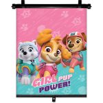 Amio - ΚΟΥΡΤΙΝΑΚΙ ΗΛΙΟΠΡΟΣΤΑΣΙΑΣ ΣΕ ΡΟΛΟ PAW PATROL GIRL 36x45cm ΓΙΑ ΠΛΑΙΝΟ ΤΖΑΜΙ/ΠΙΣΩ ΠΑΡΜΠΡΙΖ - 1 ΤΕΜ. (S34025/AM)